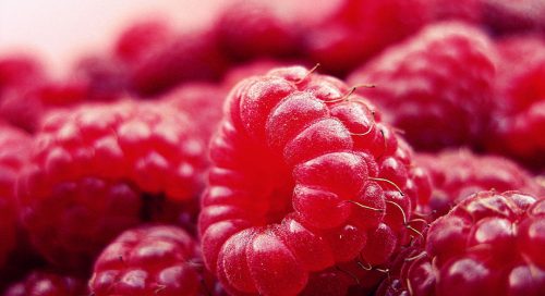 cétone de framboise